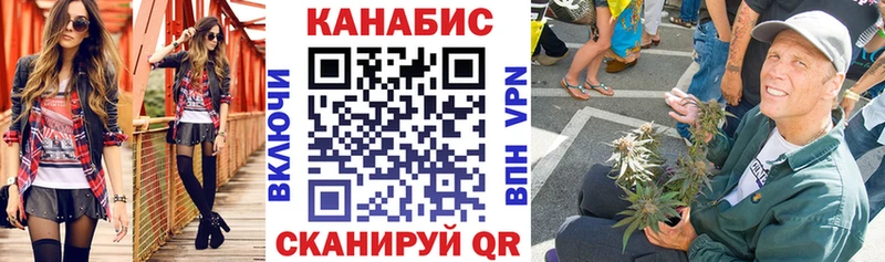 как найти   Каменногорск  Канабис марихуана 